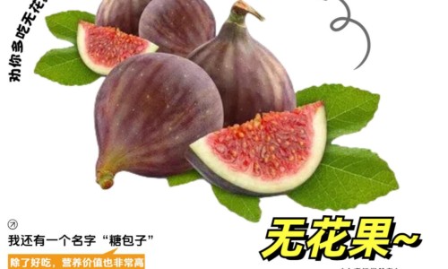 熟地黄功效与作用及禁忌副作用-熟地黄功效与作用及禁忌-专业熟地黄功效与作用及禁忌症平台-熟地黄功效与作用及禁忌、副作用