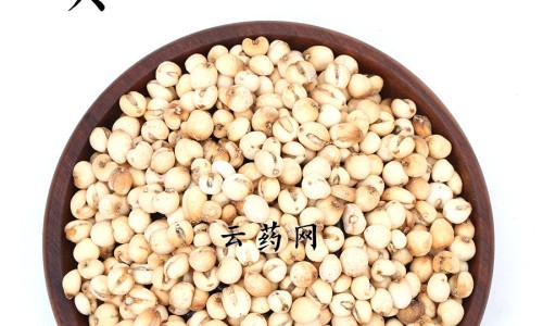 熟地黄功效与作用及禁忌-专业熟地黄功效与作用及禁忌症平台-熟地黄功效与作用及禁忌、副作用