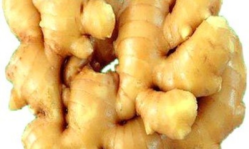 熟地黄作用与功效-熟地黄功效与作用及禁忌-专业熟地黄功效与作用及禁忌症平台-熟地黄功效与作用及禁忌、副作用